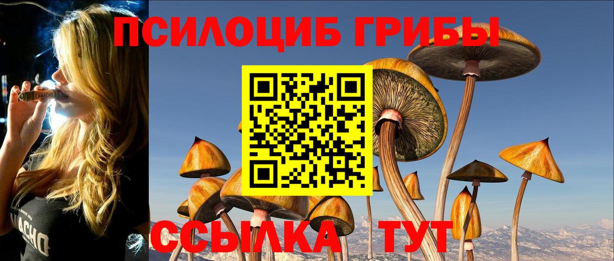 Галлюциногенные грибы Psilocybine cubensis Вичуга